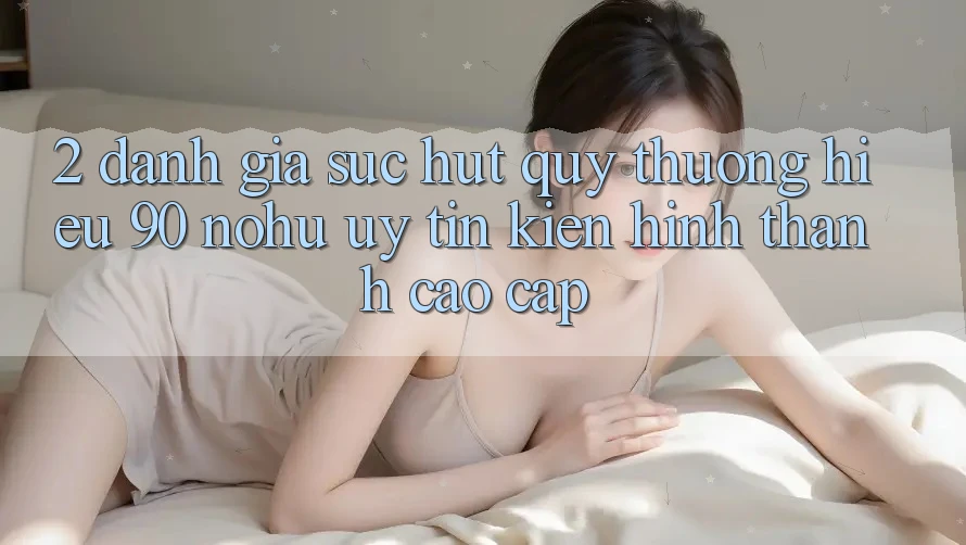 2. Đánh giá sức hút quý thương hiệu 90 nohu: Uy tín kiến hình thành cao cấp