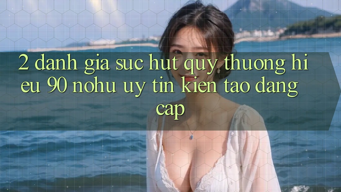 2. Đánh giá sức hút quý thương hiệu 90 nohu: Uy tín kiến tạo đẳng cấp