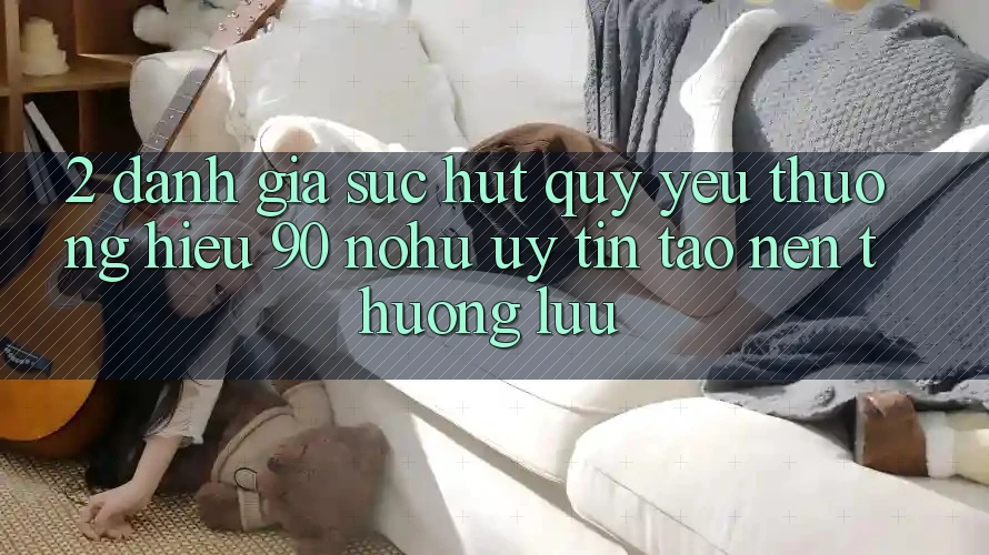 2. Đánh giá sức hút quý yêu thương hiệu 90 nohu: Uy tín tạo nên thượng lưu