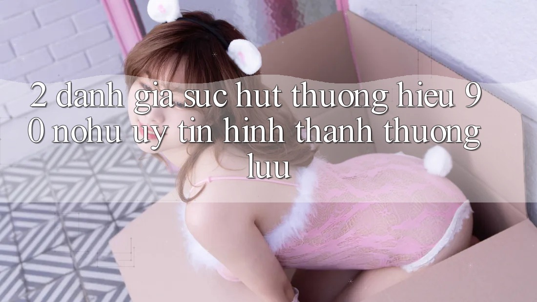 2. Đánh giá sức hút thương hiệu 90 nohu: Uy tín hình thành thượng lưu