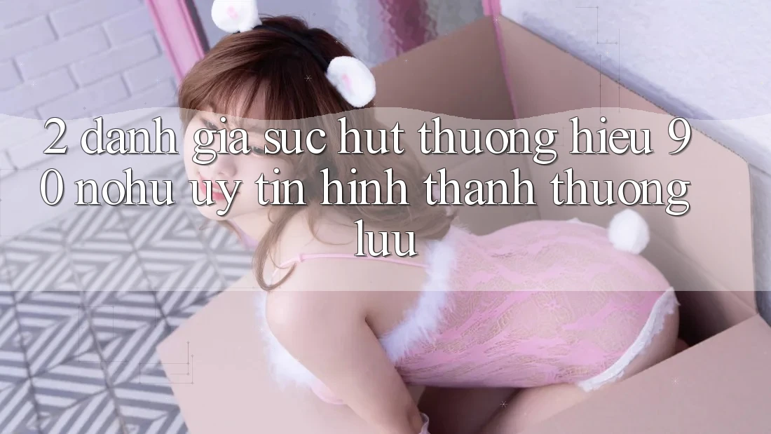 2. Đánh giá sức hút thương hiệu 90 nohu: Uy tín hình thành thượng lưu
