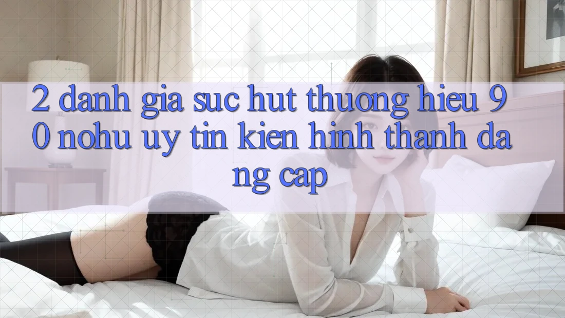 2. Đánh giá sức hút thương hiệu 90 nohu: Uy tín kiến hình thành đẳng cấp