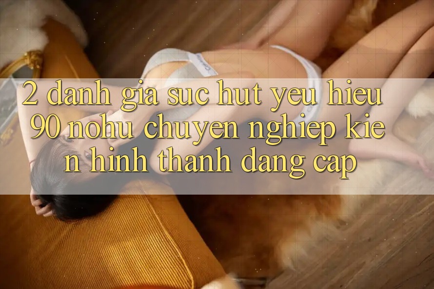 2. Đánh giá sức hút yêu hiệu 90 nohu: Chuyên nghiệp kiến hình thành đẳng cấp