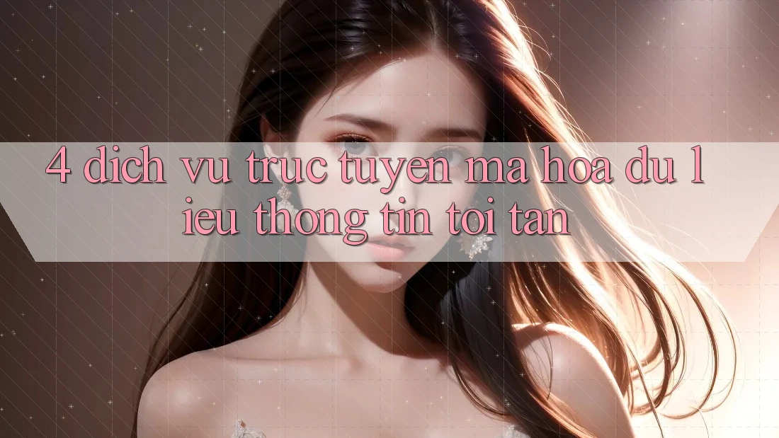 4. Dịch vụ trực tuyến mã hóa dữ liệu thông tin tối tân