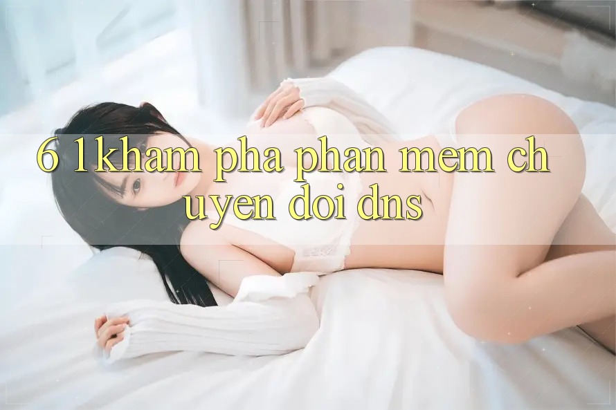 6. 1. Khám phá phần mềm chuyển đổi DNS