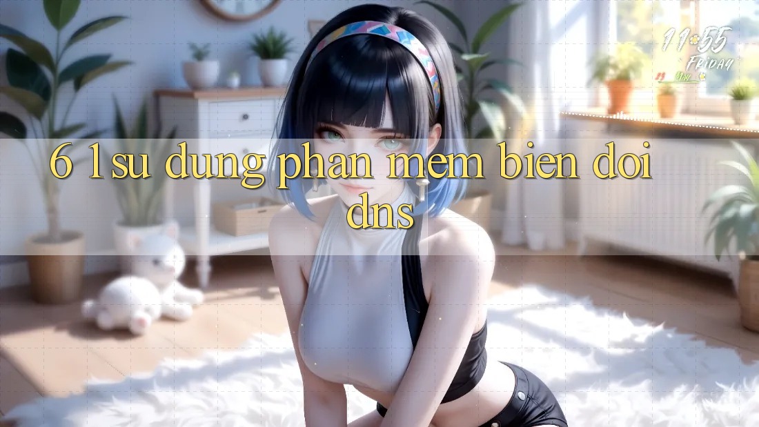 6. 1. Sử dụng phần mềm biến đổi DNS