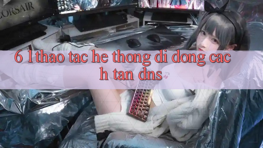 6. 1. Thao tác hệ thống di động cách tân DNS