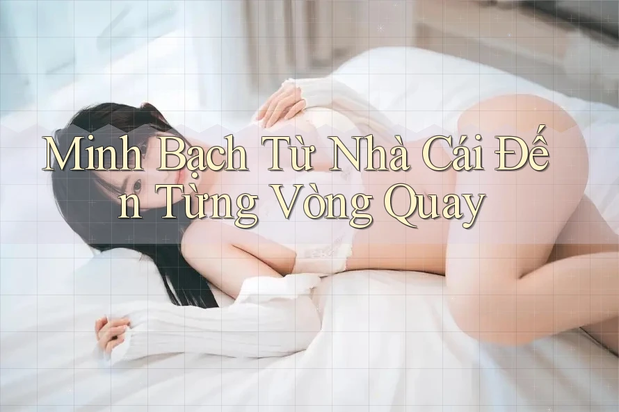 Minh Bạch Từ Nhà Cái Đến Từng Vòng Quay