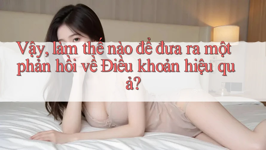 Vậy, làm thế nào để đưa ra một phản hồi về Điều khoản hiệu quả?